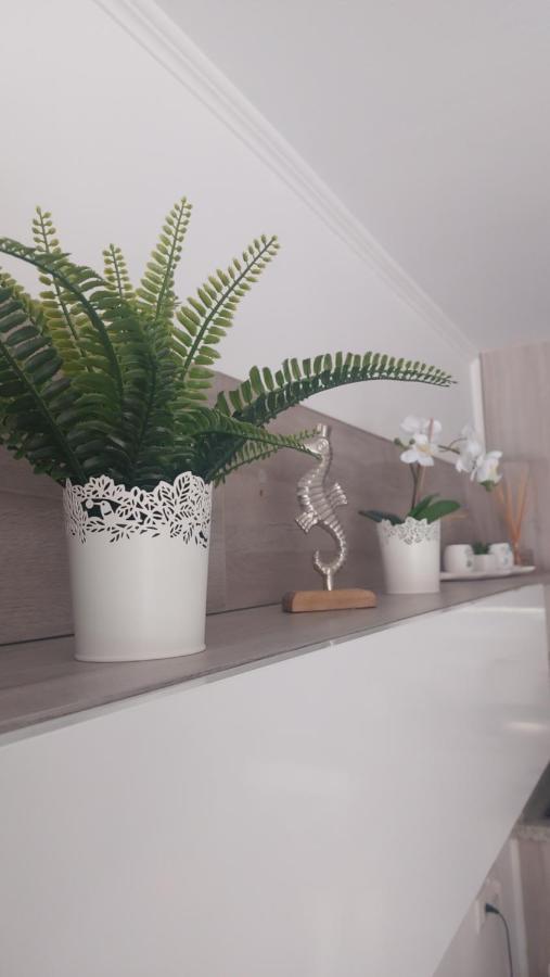 Apartamento Margarita Con Piscina En Playa Honda, Playa Las Americas Arona  Buitenkant foto